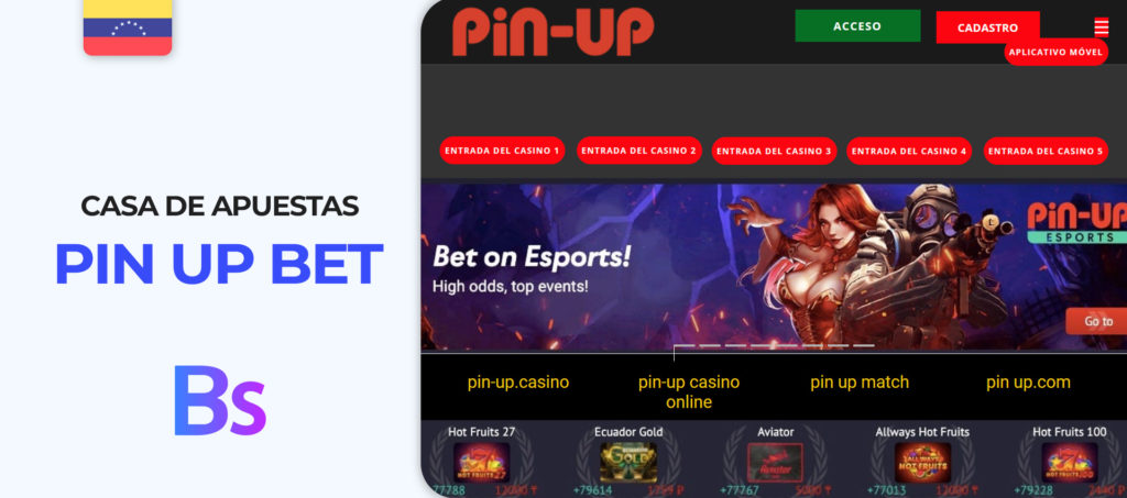 Interfaz del sitio de apuestas deportivas Pin Up Bet en Venezuela